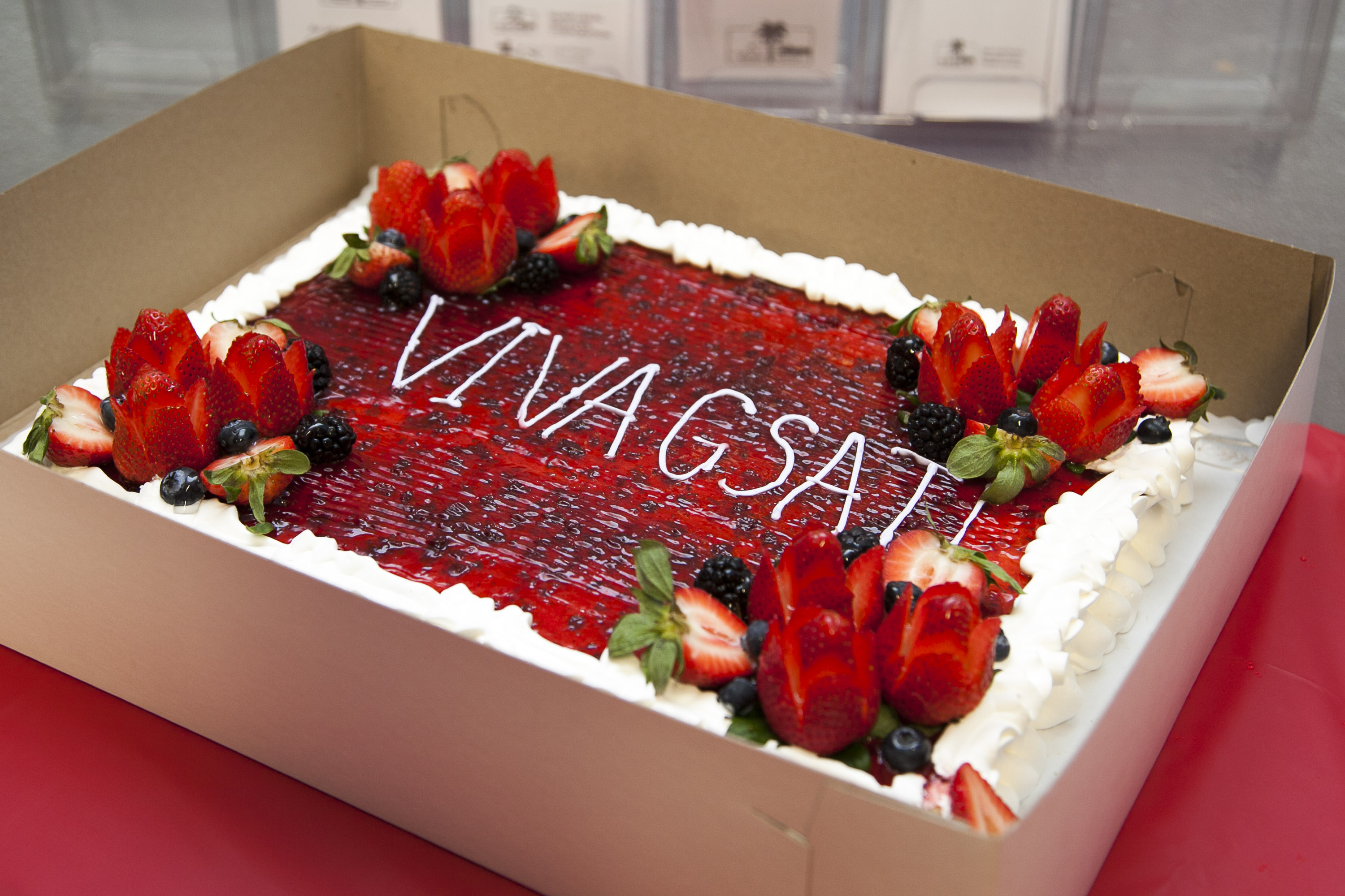 Rectangle strawberry cheesecake that reads "Viva GSAT!"